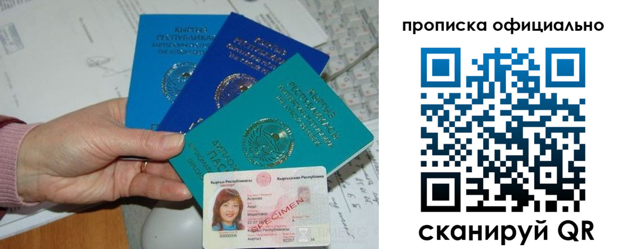 где прописаться в Курской области