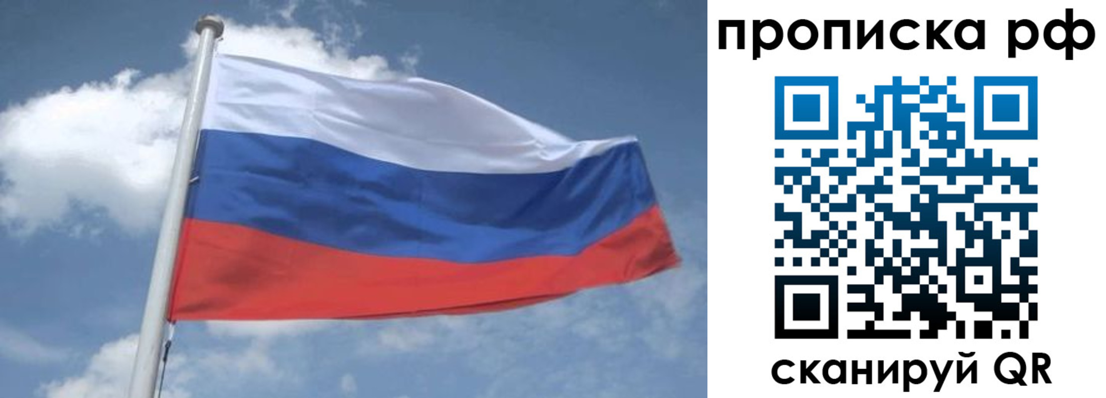 прописка регистрация в Курской области